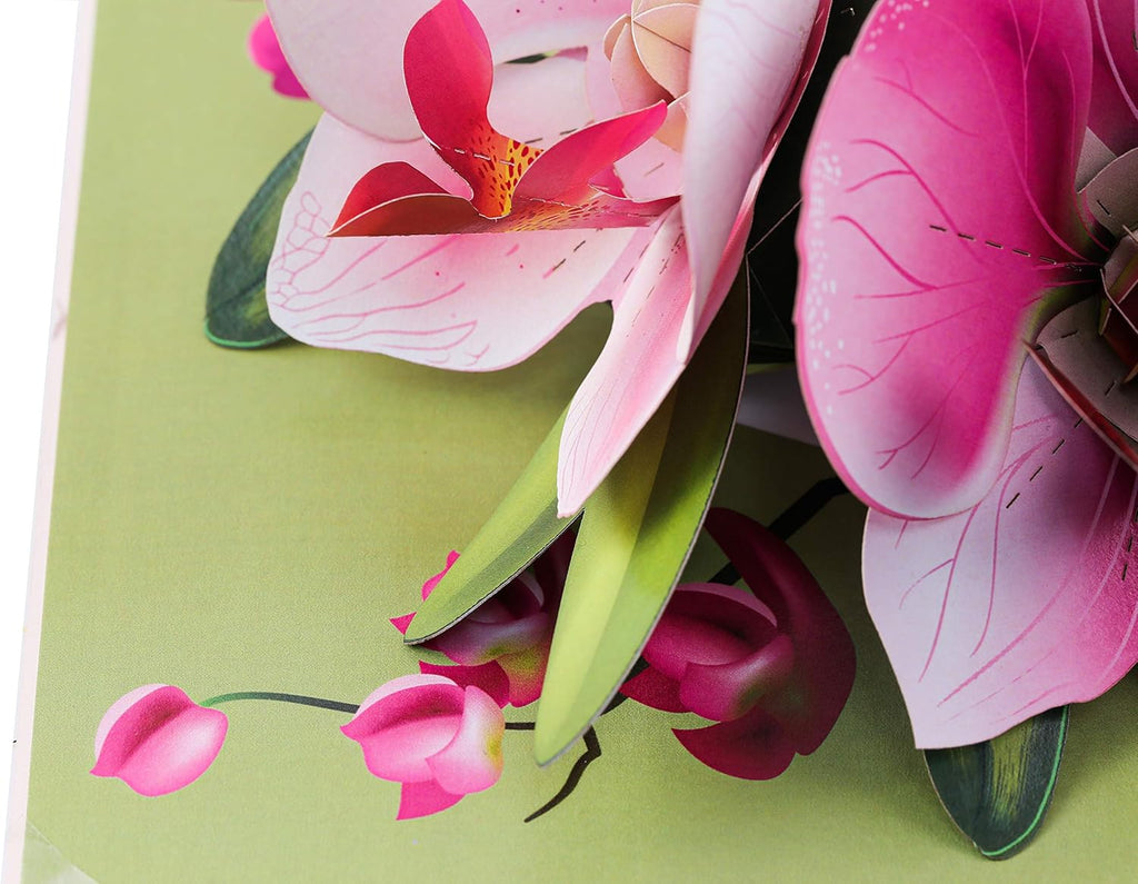 Pop up Orchid Flower Mother Day Card- 3D Cards for Birthday, Anniversary, Thank You Cards, Card for Mom, Congratulation Card, Love Card, All Occasion